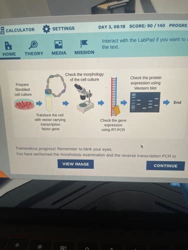 Labster Foraging Quizlet