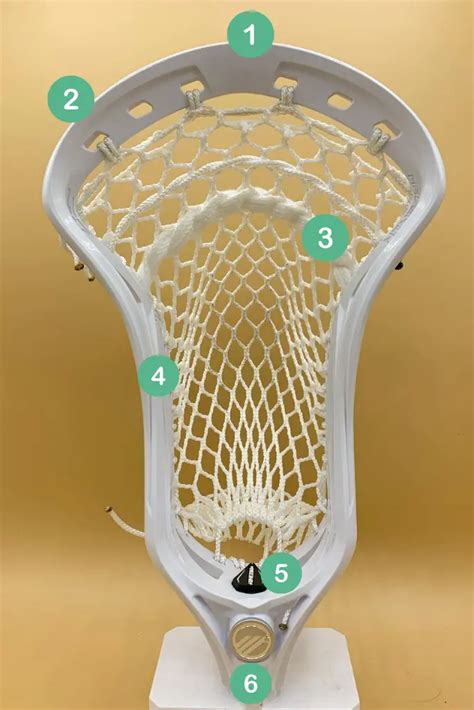 Lacrosse Sticks Composition
