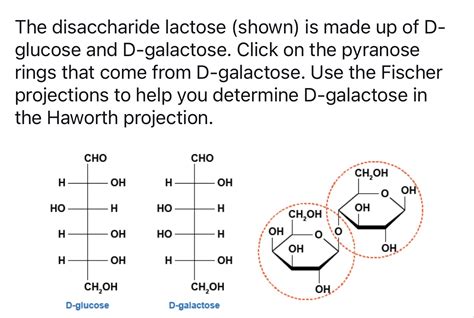 What Are Carbohydrates? — Structure & Function Expii