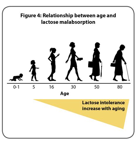Lactose Intolerance Age 50