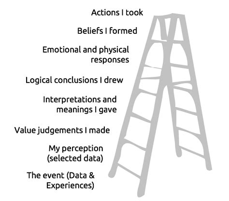 Ladder Of Perception Insights Examples