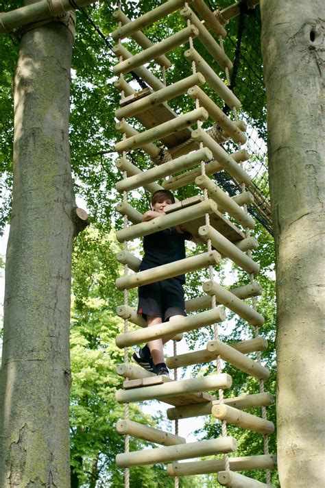 Ladders Tree House