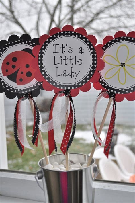Ladybug Diy Decorations