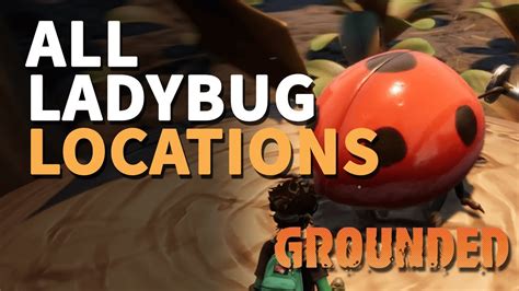 Ladybug Locations Grounded