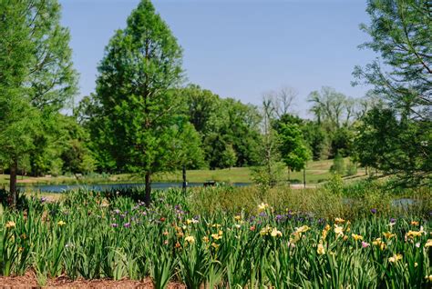 lafayette jades system