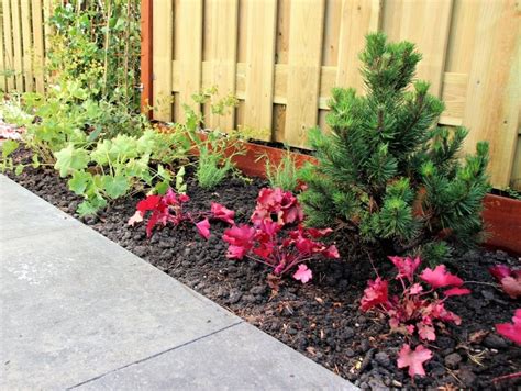 Lage Borderbeplanting