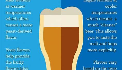 An Easy Guide to Beer: Styles, Terms, History | Primer | Beer types