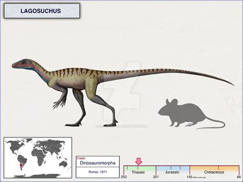 Lagosuchus Size Comparison