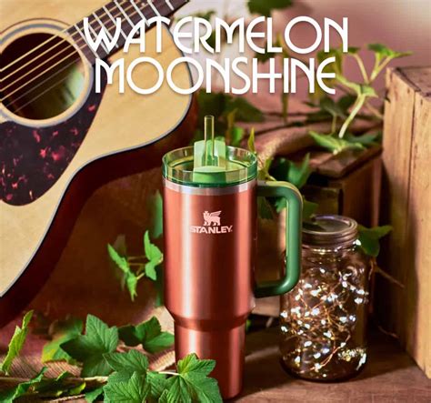 lainey wilson watermelon moonshine mug