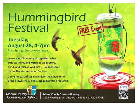 Hummingbird Festivals 2023 The Best Hummingbird Festival To Visit Around The United States