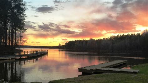 Lake Calling Panther