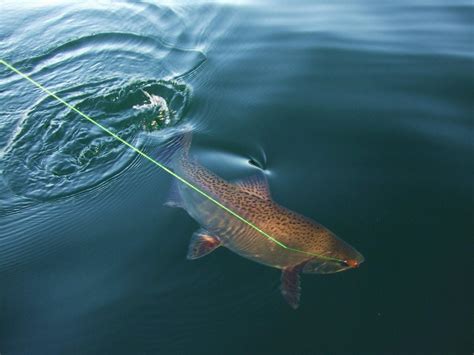 Lake Hebron Fishing