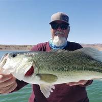 Lake Mead Fishing Techniques