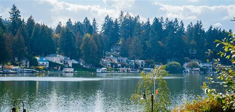 lake oswego tree service