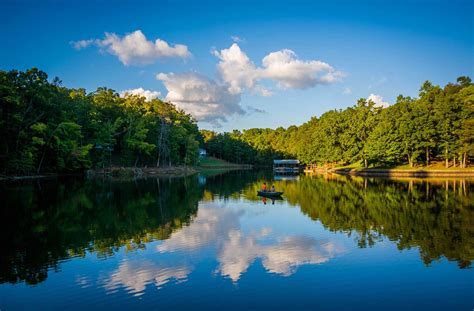 Lake Wylie Fish