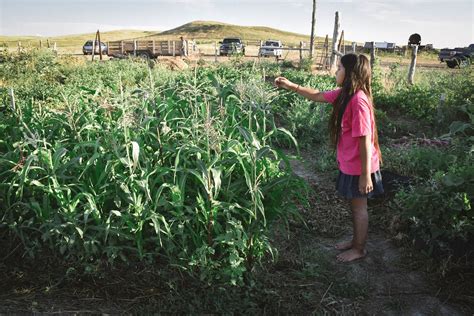 Lakota agriculture and food production