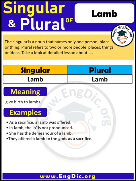 Lamb Meaning Plural