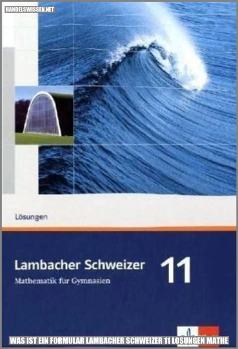Lambacher Schweizer 11 Lösungen Kapitel 6: Eine Einführung