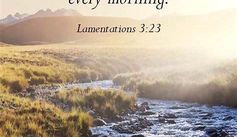 Lamentations 3 23 Pin On Life/Faith