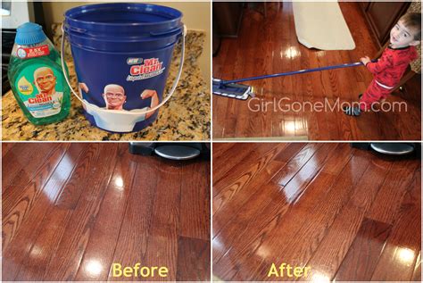 Laminate Floor Mr Clean