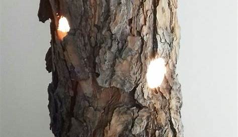 Lampe bois Driftwood lamp, Wood lamps, Wooden lamp