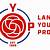 lancaster young professionals
