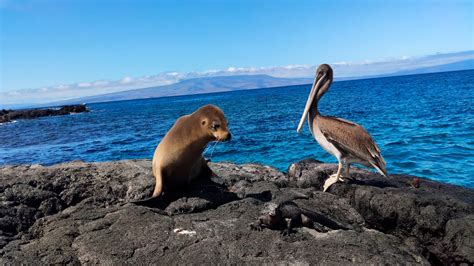 land based galapagos tours for families