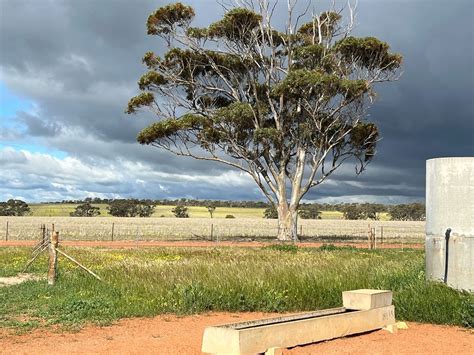 Land For Sale Shackleton