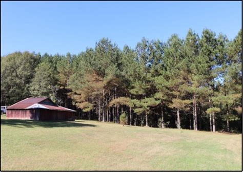 land for sale in philadelphia ms