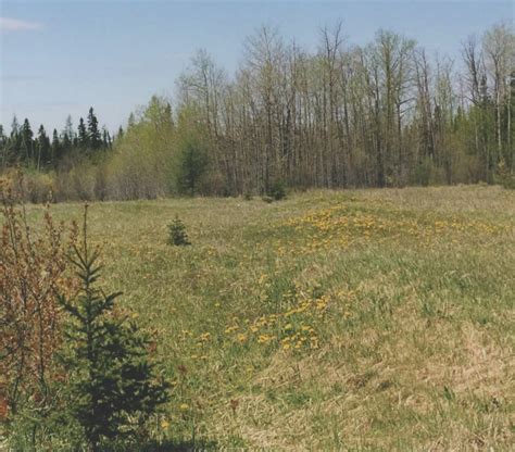 land for sale in timmins