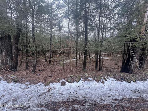 land for sale in westerlo ny