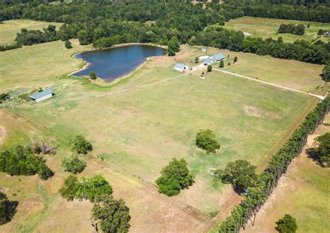 Country Home Small Acreage Land for Sale in Powderly, Lamar County