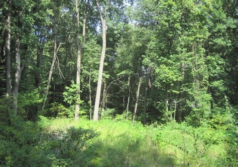 Land For Sale New Britain Ct