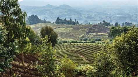 land information in rwanda