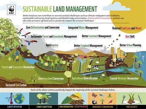 land use management pdf