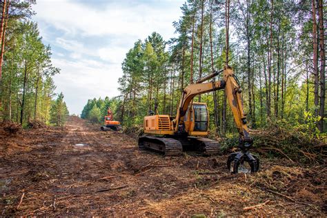 Landmark Land Clearing