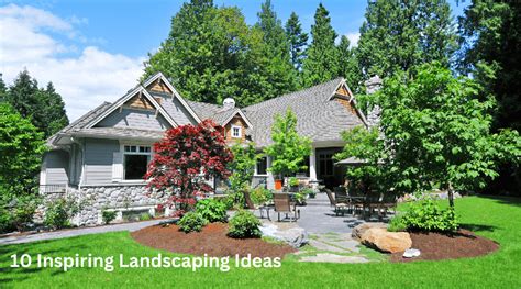 Landscape Ideas Best Solutions for Shade