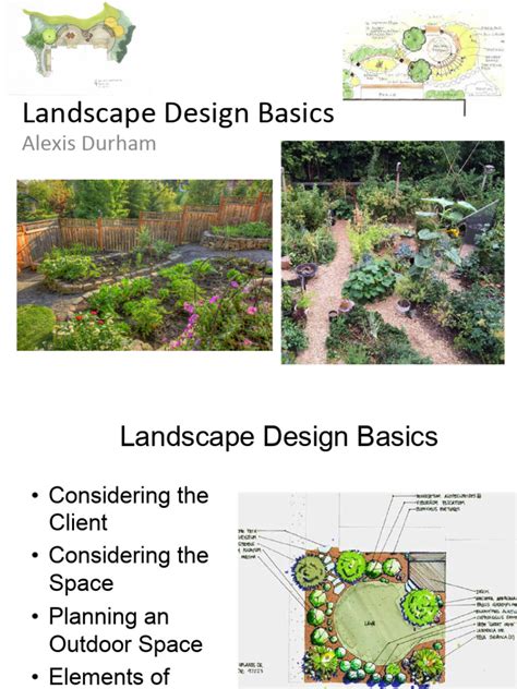 Landscape Design Basics Pdf