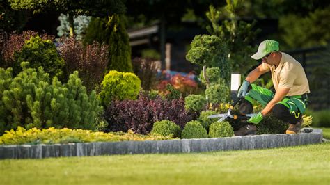 How Much Does Landscaping Cost? Breaking Down the Cost of Maintenance