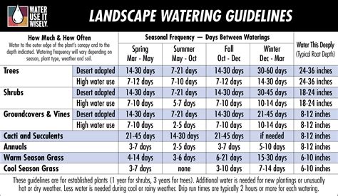 Landscape Irrigation Needs