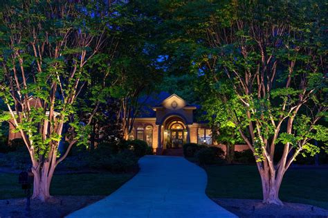 Landscape Lighting In Trees