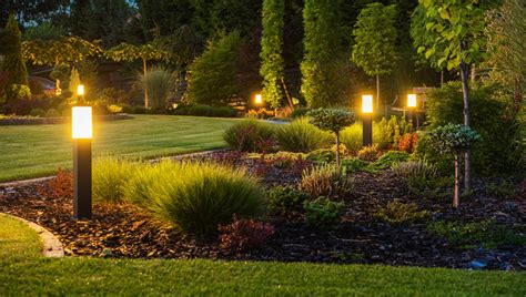 Landscape Lights In Yard