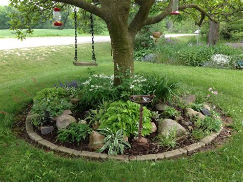 Landscaping Around Maple Trees