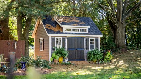 Landscaping around shed gardening