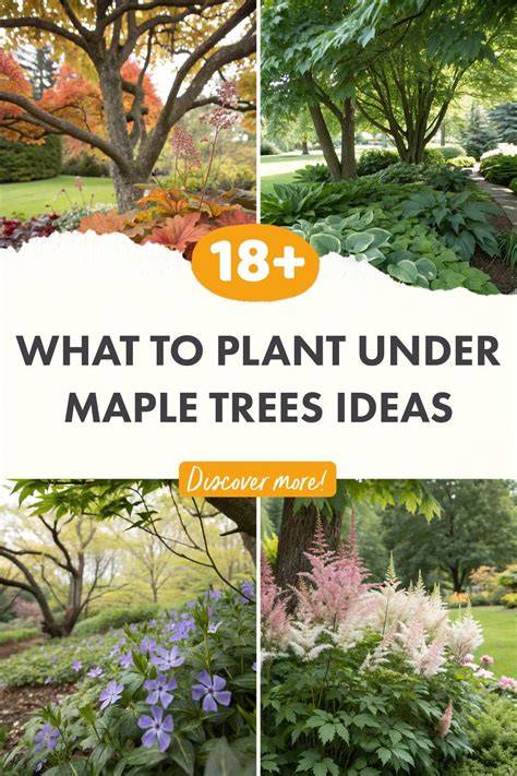 Image result for bed around tree Landscaping around trees