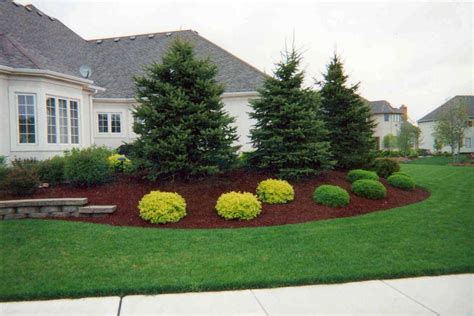 Landscaping With Spruce Trees