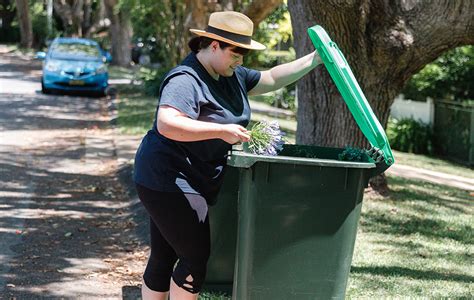 lane cove green bin