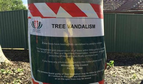lane cove tree vandalism
