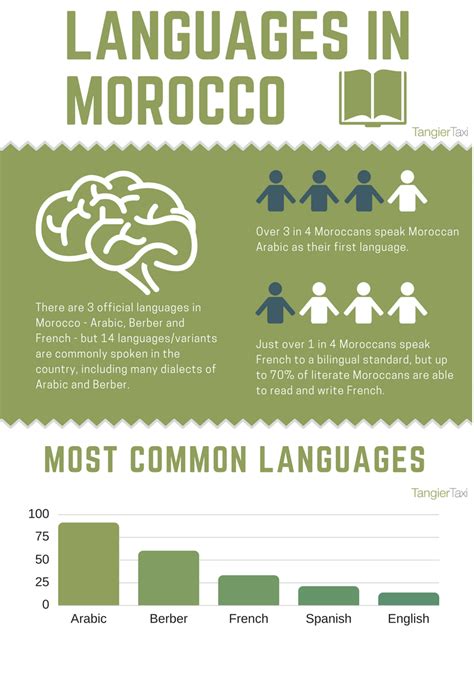 language they speak in morocco