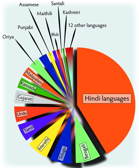 languages spoken in delhi pie chart